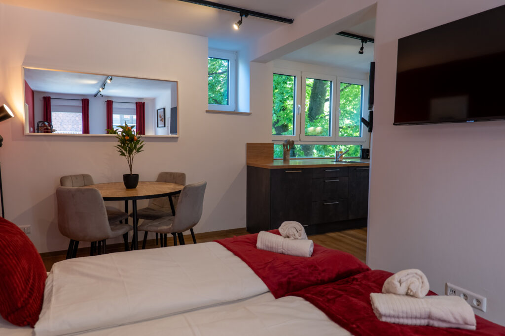 250510 Mihalca Homes Günzburg-43
